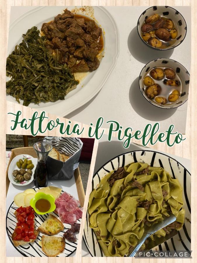 Fattoria il Pigelleto Villa Piancastagnaio Esterno foto