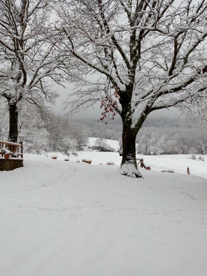 Fattoria il Pigelleto Villa Piancastagnaio Esterno foto